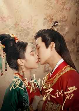 夜夜相见不识君第10集
