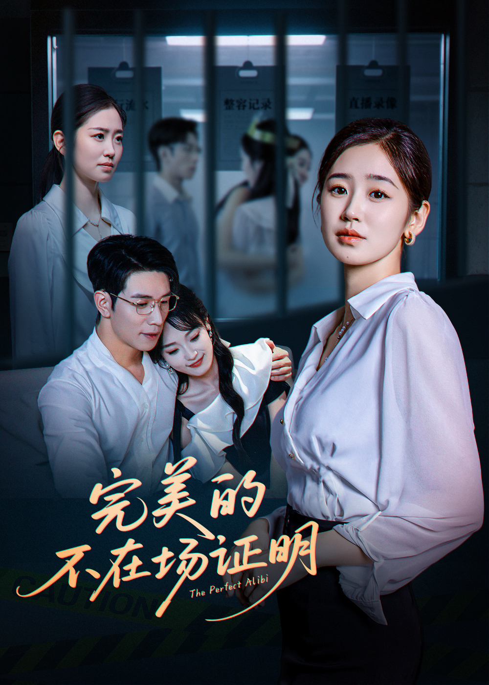 完美的不在场证明第17集