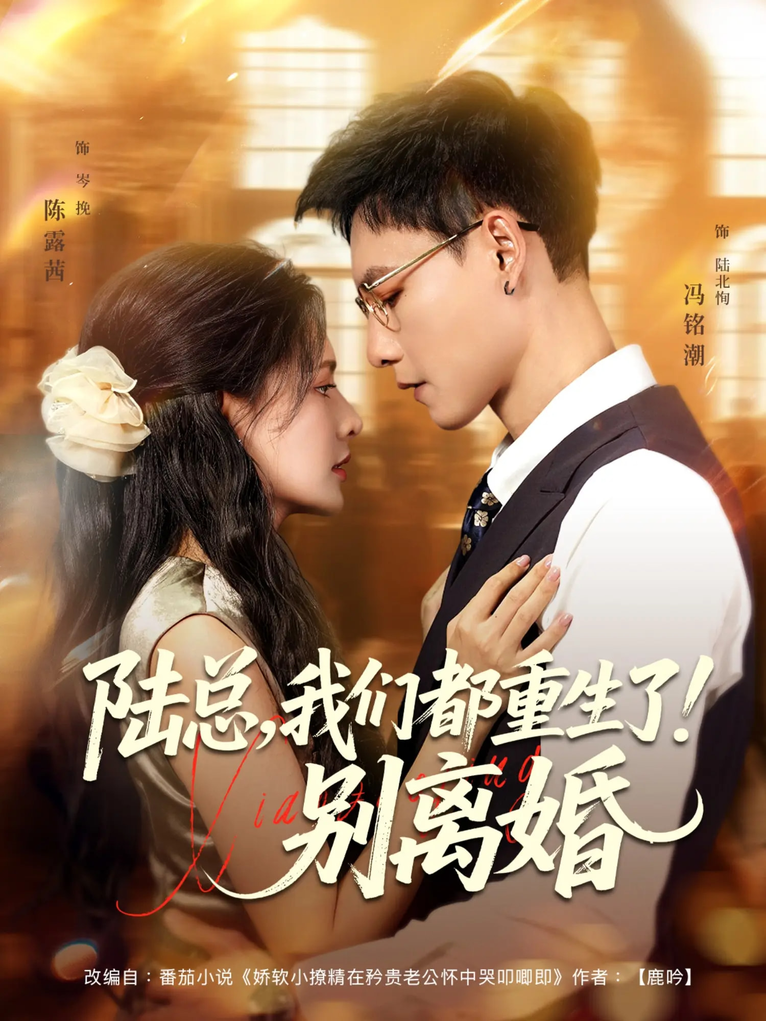 陆总我们都重生了别离婚第71集