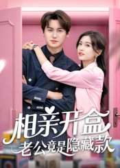 相亲开盒老公竟是隐藏款第22集