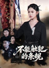 不能触犯的条规第13集