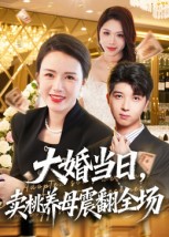 大婚当日，卖桃养母震翻全场第32集