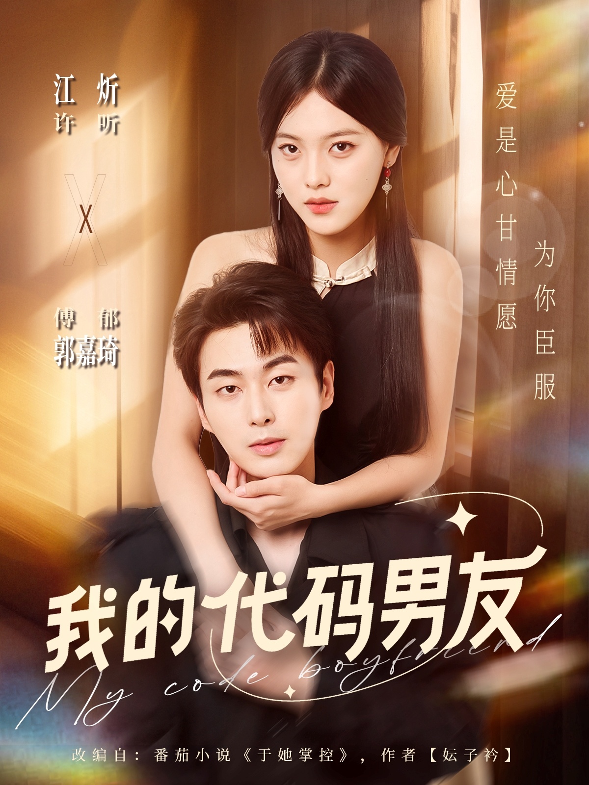 我的代码男友第24集