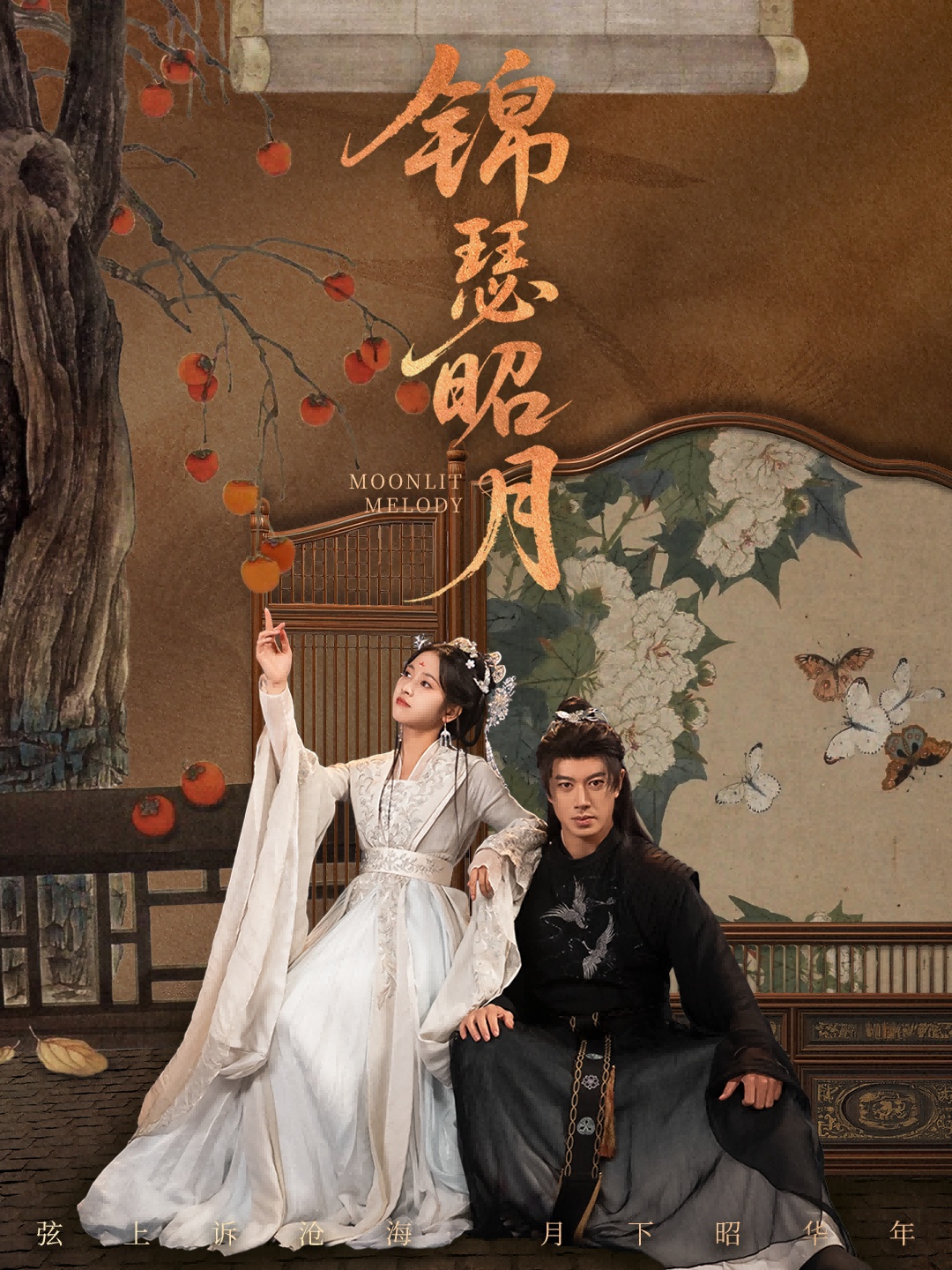 锦瑟昭月第28集