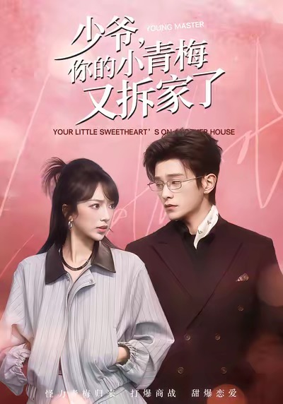 少爷，你的小青梅又拆家了第04集